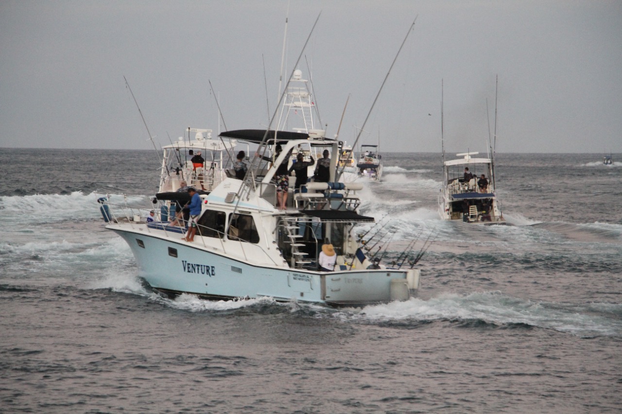 Arrancó el 66° Torneo Internacional de Pesca de Puerto Vallarta -  Contralinea